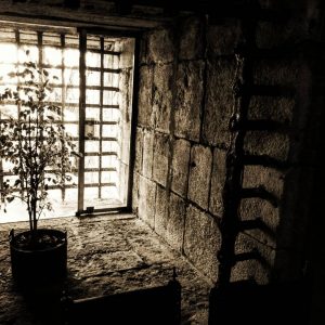 O Limoeiro, Um Carrasco e Um Lobo - Os Últimos Suspiros da Pena de Morte em Lisboa @ Centro de Estudos Judiciários - Antiga Prisão do Limoeiro